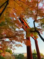 志波彦神社・鹽竈神社の鳥居