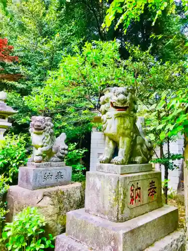 大宝八幡宮の狛犬