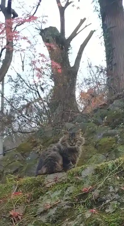 伊香保神社(群馬県)