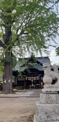 賀羅加波神社(広島県)