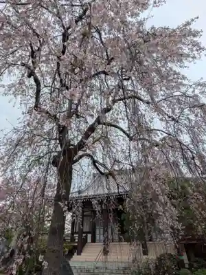 圓照寺(東京都)