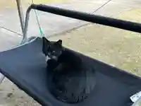 岡部春日神社~👹鬼門よけの🌺花咲く🌺やしろ~の御朱印