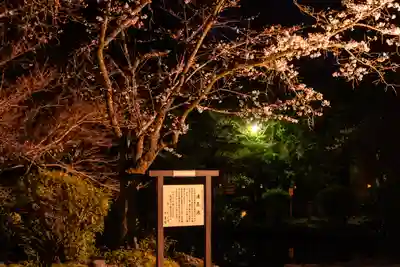 富士山本宮浅間大社(静岡県)