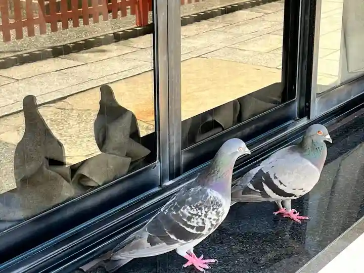 開口神社(大阪府)