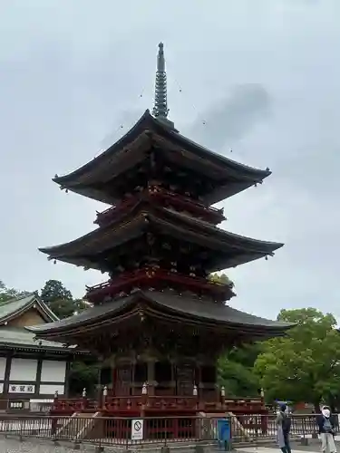 成田山新勝寺の塔