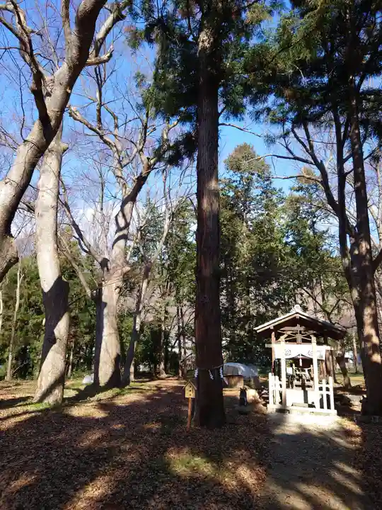 大星神社(長野県)