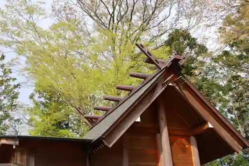 阿久津「田村神社」（郡山市阿久津町）旧社名：伊豆箱根三嶋三社の本殿・本堂
