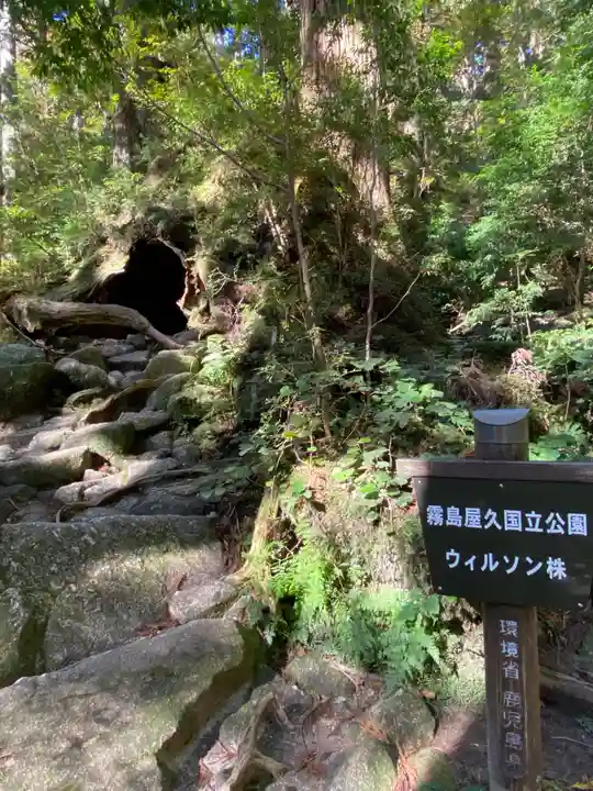 木魂神社(鹿児島県)