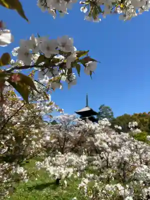 仁和寺の{uncategorized: "未分類", other: "その他", undefined: "問題あり", building: "その他建物", grave: "お墓", sacred_gate: "鳥居", guardian: "狛犬", statue: "像", buddha: "仏像", history: "歴史", nature: "自然", garden: "庭園", animal: "動物", pagoda: "塔", temizu: "手水舎", mountain_gate: "山門・神門", sanctuary: "本殿・本堂", subordinate: "末社・摂社", art: "芸術", scenery: "景色", jizo: "地蔵", ema: "絵馬", goshuin: "御朱印", omikuji: "おみくじ", items: "授与品その他", amulet: "お守り", goshuincho: "御朱印帳", eats: "食事", festival: "お祭り", votive_dance: "神楽", shichigosan: "七五三参", wedding: "結婚式", experience: "体験その他", initially: "初詣", around: "周辺", anti_infection: "感染症対策"}
