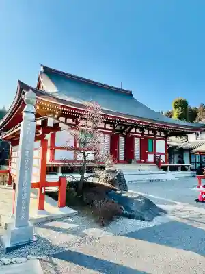 威徳院 極楽寺の{uncategorized: "未分類", other: "その他", undefined: "問題あり", building: "その他建物", grave: "お墓", sacred_gate: "鳥居", guardian: "狛犬", statue: "像", buddha: "仏像", history: "歴史", nature: "自然", garden: "庭園", animal: "動物", pagoda: "塔", temizu: "手水舎", mountain_gate: "山門・神門", sanctuary: "本殿・本堂", subordinate: "末社・摂社", art: "芸術", scenery: "景色", jizo: "地蔵", ema: "絵馬", goshuin: "御朱印", omikuji: "おみくじ", items: "授与品その他", amulet: "お守り", goshuincho: "御朱印帳", eats: "食事", festival: "お祭り", votive_dance: "神楽", shichigosan: "七五三参", wedding: "結婚式", experience: "体験その他", initially: "初詣", around: "周辺", anti_infection: "感染症対策"}