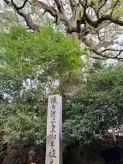 新熊野神社の建物その他