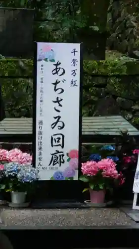 長谷寺(奈良県)