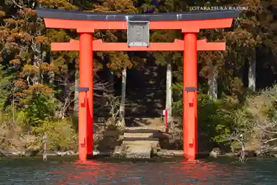 箱根神社(神奈川県)