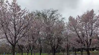 上川神社頓宮の自然
