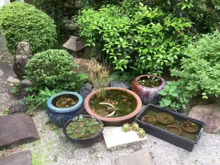 日蓮宗瑞光山久遠寺の庭園