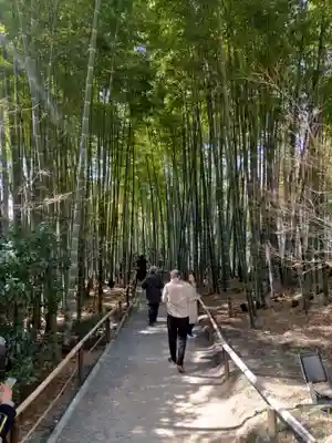 高台寺（高台寿聖禅寺・高臺寺）(京都府)