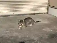 白金氷川神社(東京都)