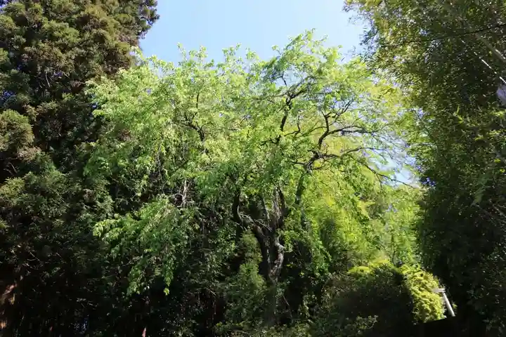 大六天麻王神社の庭園
