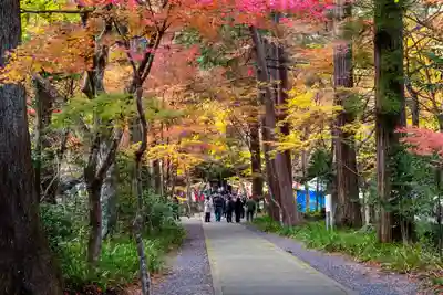 大矢田神社(岐阜県)