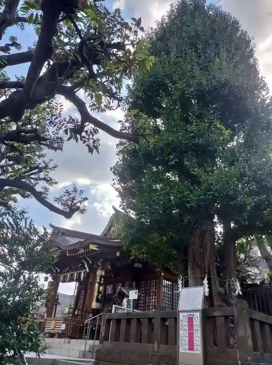 大鳥神社(東京都)