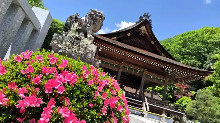出雲大神宮の{uncategorized: "未分類", other: "その他", undefined: "問題あり", building: "その他建物", grave: "お墓", sacred_gate: "鳥居", guardian: "狛犬", statue: "像", buddha: "仏像", history: "歴史", nature: "自然", garden: "庭園", animal: "動物", pagoda: "塔", temizu: "手水舎", mountain_gate: "山門・神門", sanctuary: "本殿・本堂", subordinate: "末社・摂社", art: "芸術", scenery: "景色", jizo: "地蔵", ema: "絵馬", goshuin: "御朱印", omikuji: "おみくじ", items: "授与品その他", amulet: "お守り", goshuincho: "御朱印帳", eats: "食事", festival: "お祭り", votive_dance: "神楽", shichigosan: "七五三参", wedding: "結婚式", experience: "体験その他", initially: "初詣", around: "周辺", anti_infection: "感染症対策"}