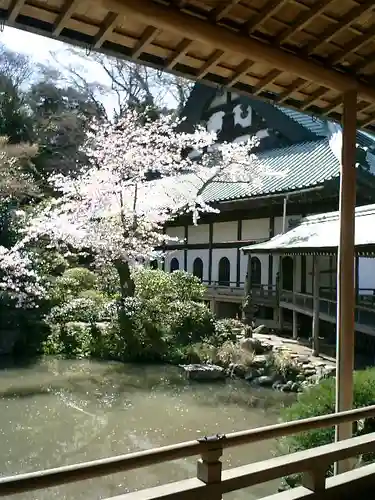 光明寺の庭園