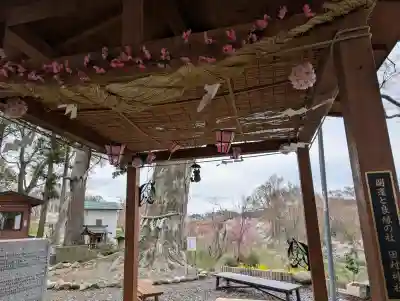 阿久津「田村神社」（郡山市阿久津町）旧社名：伊豆箱根三嶋三社の{uncategorized: "未分類", other: "その他", undefined: "問題あり", building: "その他建物", grave: "お墓", sacred_gate: "鳥居", guardian: "狛犬", statue: "像", buddha: "仏像", history: "歴史", nature: "自然", garden: "庭園", animal: "動物", pagoda: "塔", temizu: "手水舎", mountain_gate: "山門・神門", sanctuary: "本殿・本堂", subordinate: "末社・摂社", art: "芸術", scenery: "景色", jizo: "地蔵", ema: "絵馬", goshuin: "御朱印", omikuji: "おみくじ", items: "授与品その他", amulet: "お守り", goshuincho: "御朱印帳", eats: "食事", festival: "お祭り", votive_dance: "神楽", shichigosan: "七五三参", wedding: "結婚式", experience: "体験その他", initially: "初詣", around: "周辺", anti_infection: "感染症対策"}