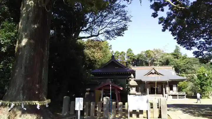 松澤 熊野神社の自然