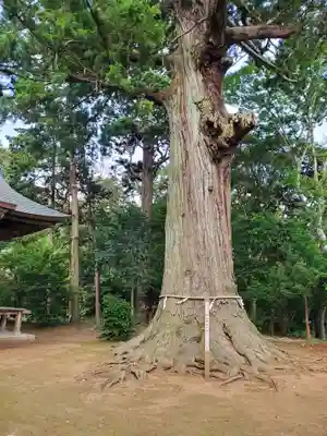松山神社(千葉県)