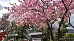 車折神社の自然