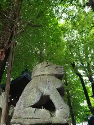 穏田神社の狛犬