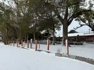 美奈宜神社(福岡県)(2026年02月08日(日) 10時32分33秒投稿)