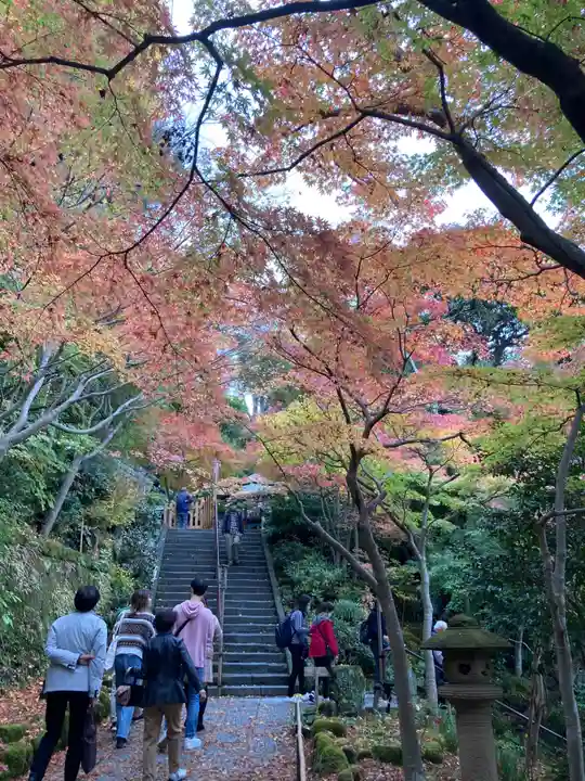 長谷寺(神奈川県)