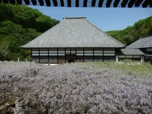 長泉寺の景色