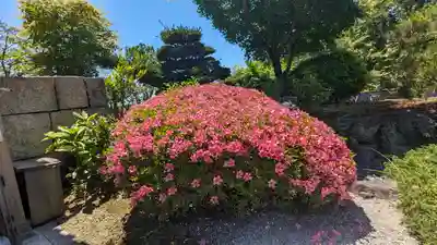本栖寺(京都府)