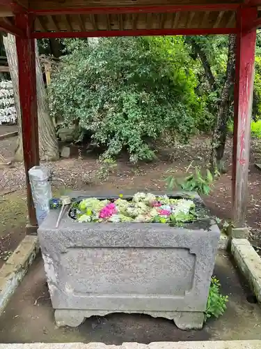 千代ケ岡八幡宮(栃木県)