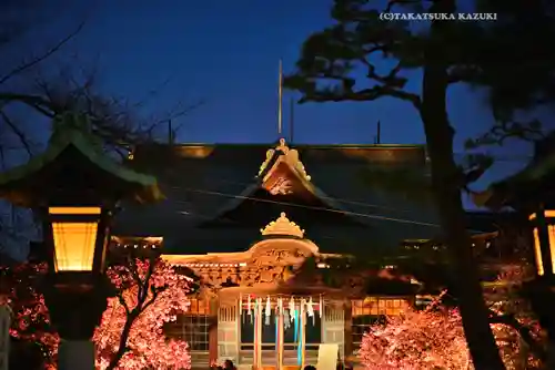 桜神宮(東京都)
