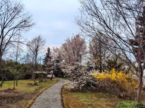 美瑛神社の庭園