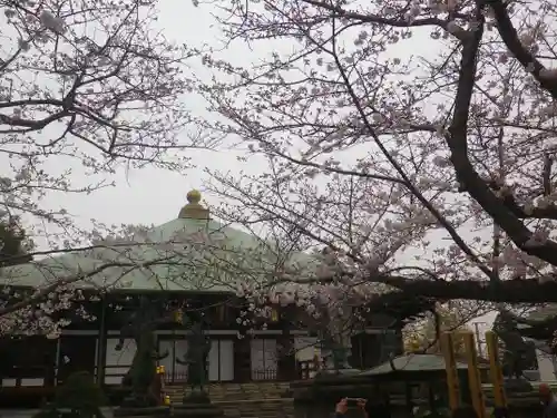 長勝寺の本殿・本堂