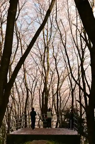 熊野神社(愛媛県)