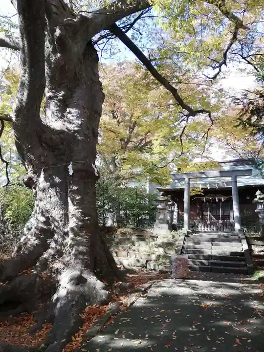愛宕神社のその他建物