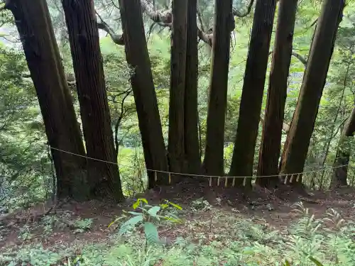 天岩戸神社(宮崎県)