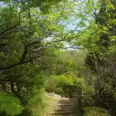 篠ｹ谷神社(岐阜県)