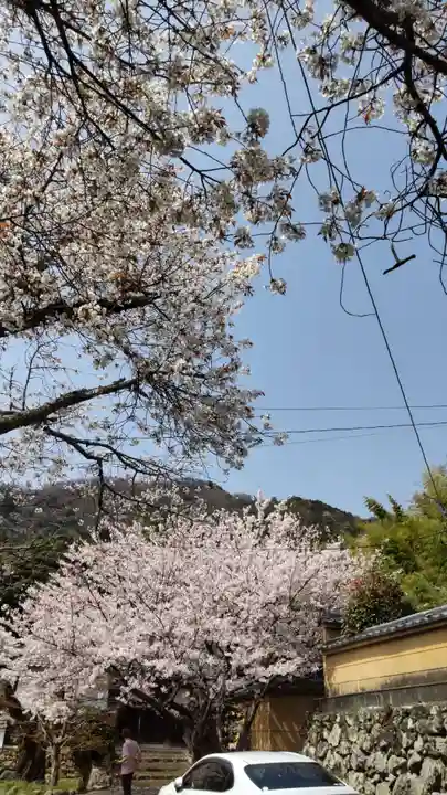宝菩提院願徳寺の自然