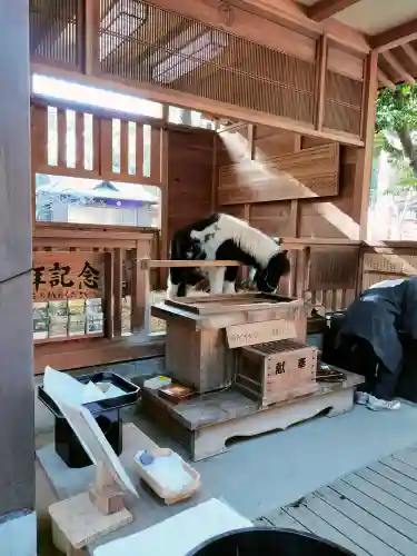 平塚八幡宮(神奈川県)