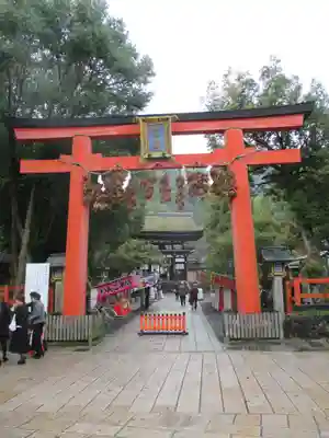 松尾大社の鳥居
