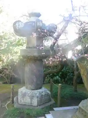 安國論寺（安国論寺）の塔