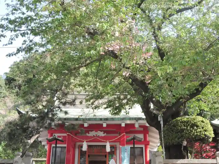 元町厳島神社の自然