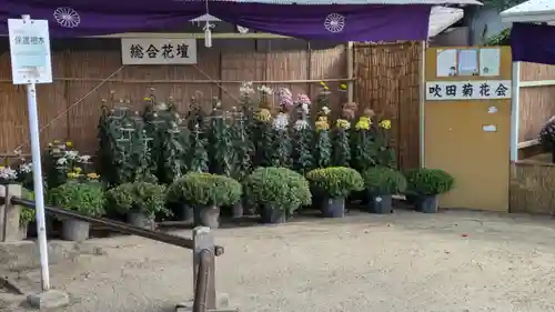 泉殿宮(大阪府)