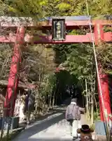 來宮神社(静岡県)